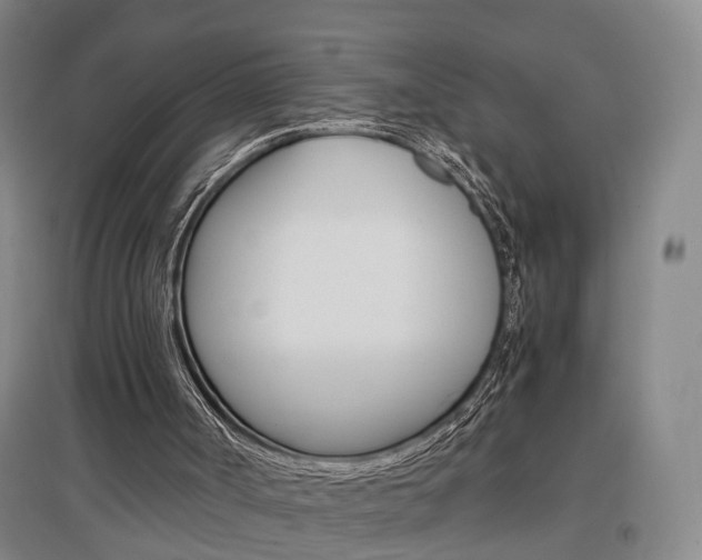 X0000097460002200802220817