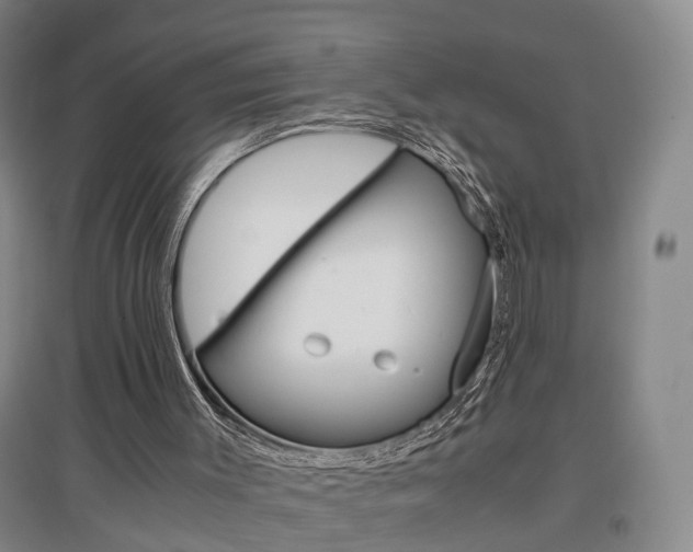 X0000097460003200802220817