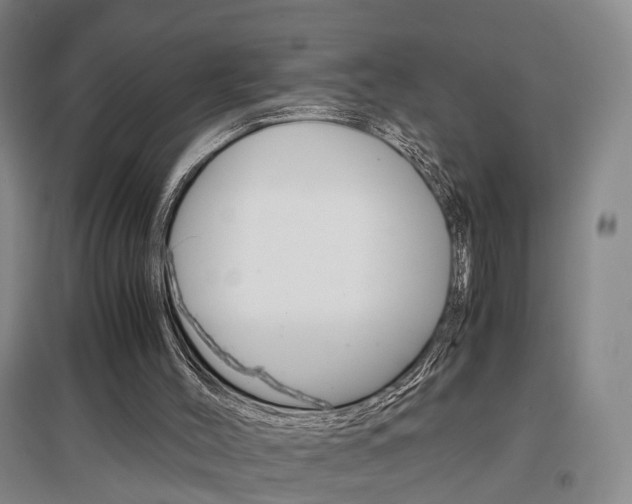 X0000097460004200802220817