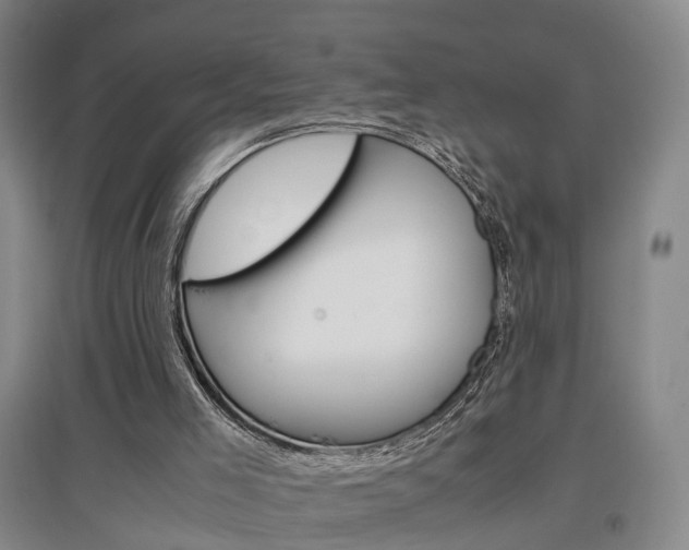 X0000097460005200802220817