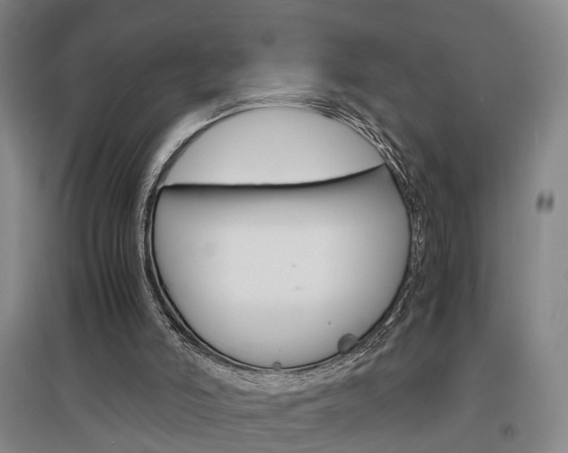 X0000097460006200802220817