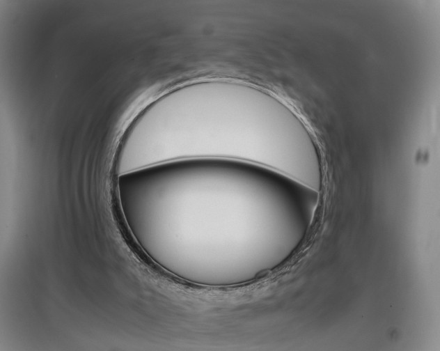 X0000097460007200802220817