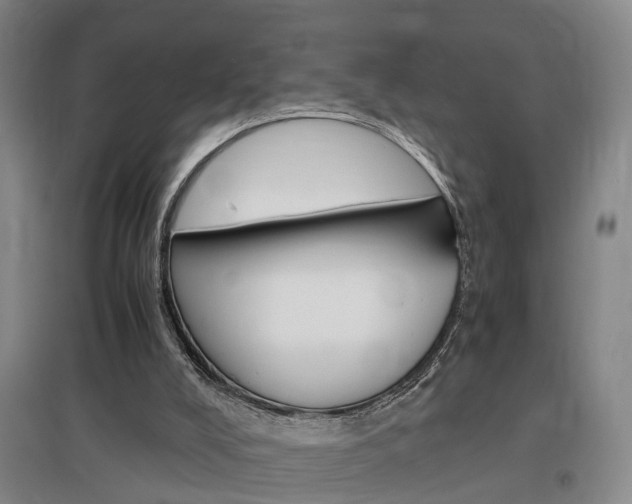 X0000097460008200802220817