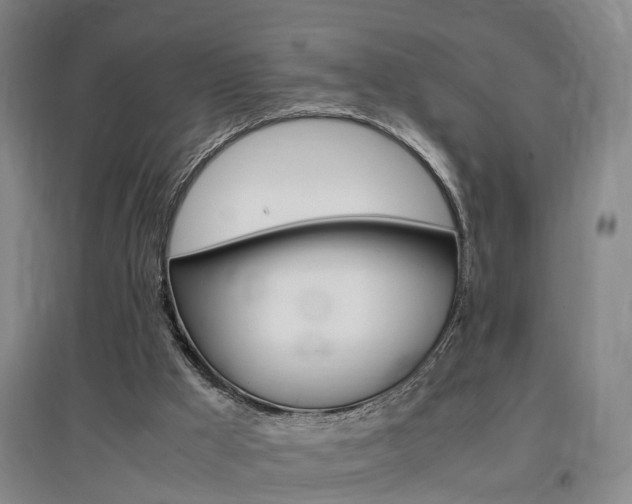 X0000097460009200802220817