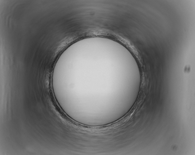 X0000097460010200802220817