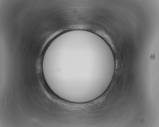 X0000097460012200802220817
