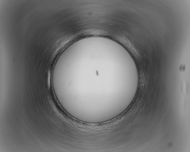 X0000097460014200802220817