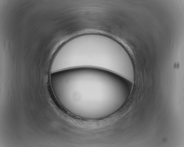 X0000097460015200802220817