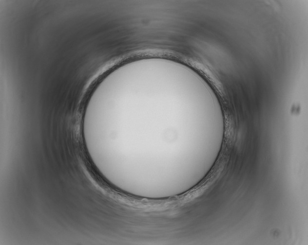 X0000097460016200802220817