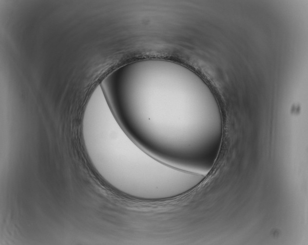 X0000097460017200802220817
