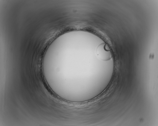 X0000097460018200802220817