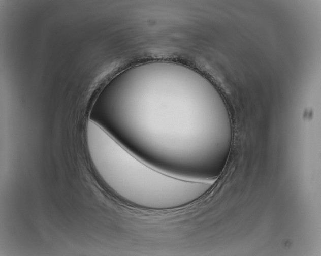 X0000097460019200802220817