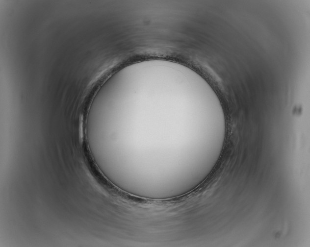 X0000097460020200802220817