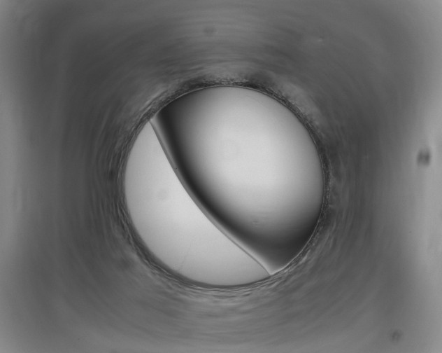 X0000097460021200802220817
