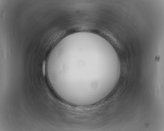 X0000097460022200802220817