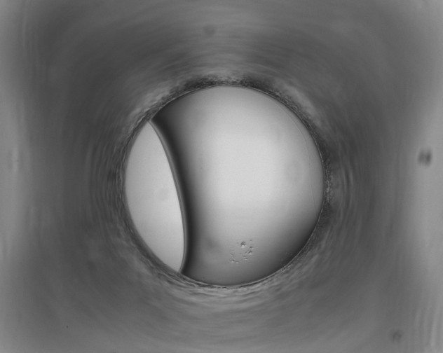 X0000097460023200802220817