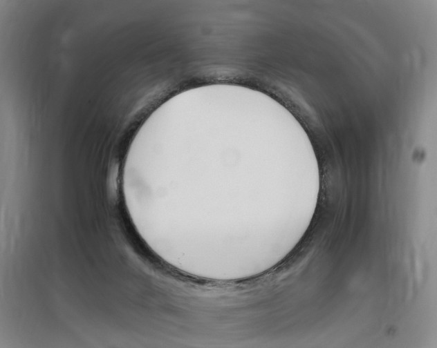 X0000097460024200802220817
