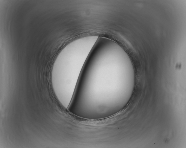 X0000097460025200802220817