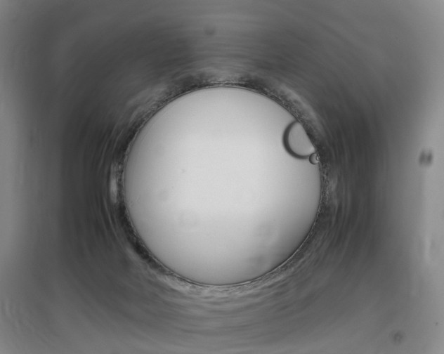 X0000097460026200802220817