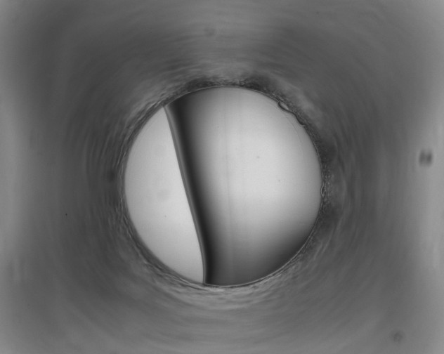 X0000097460027200802220817