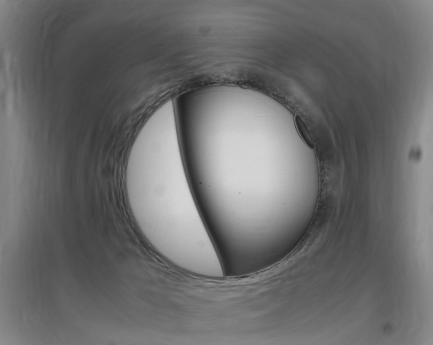 X0000097460029200802220817