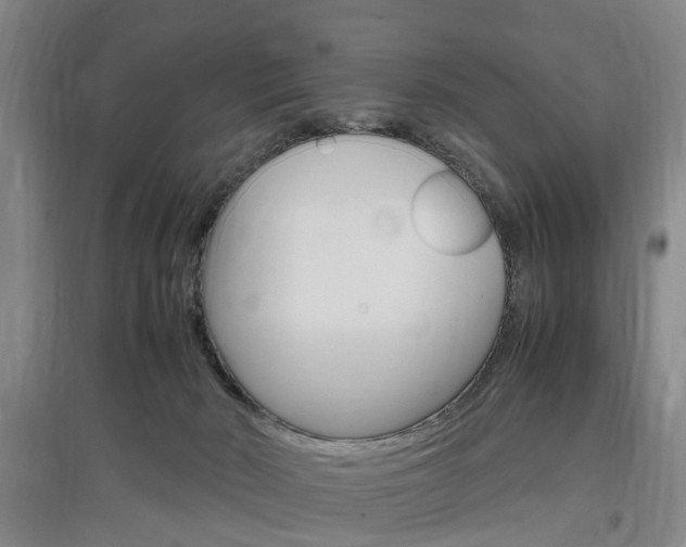 X0000097460030200802220817