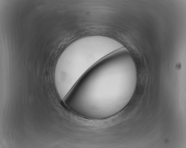 X0000097460031200802220817