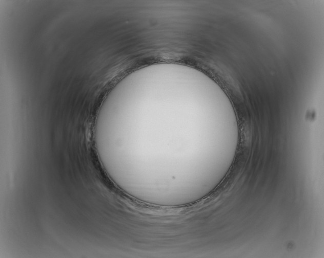 X0000097460032200802220817