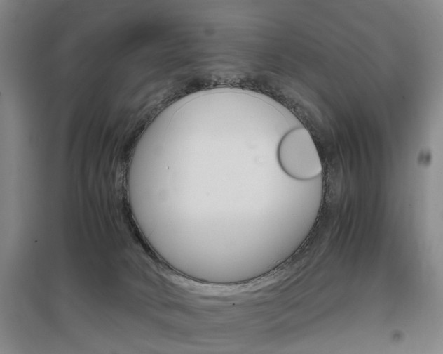 X0000097460034200802220817