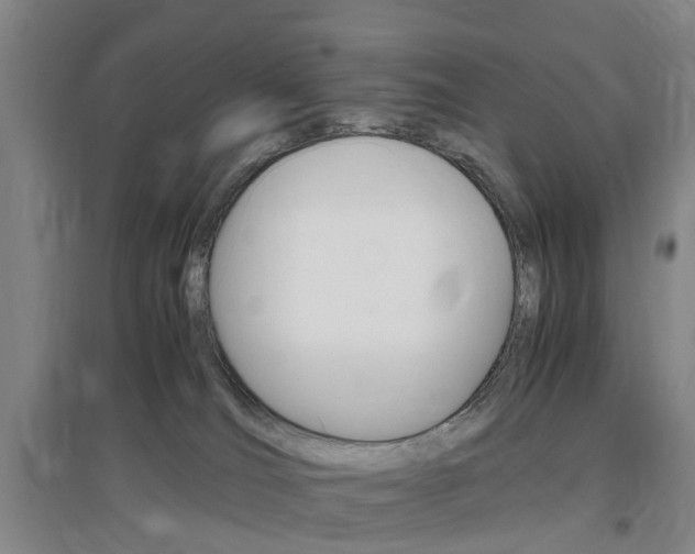 X0000097460036200802220817