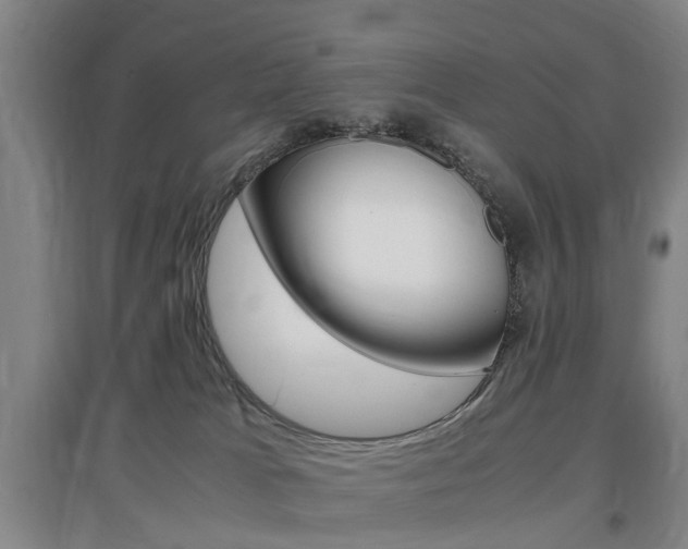 X0000097460037200802220817