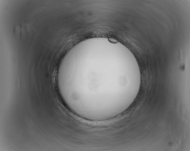 X0000097460038200802220817