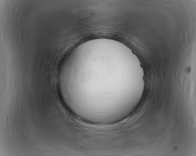 X0000097460040200802220817