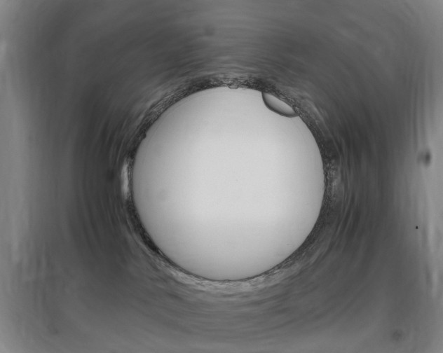 X0000097460042200802220817