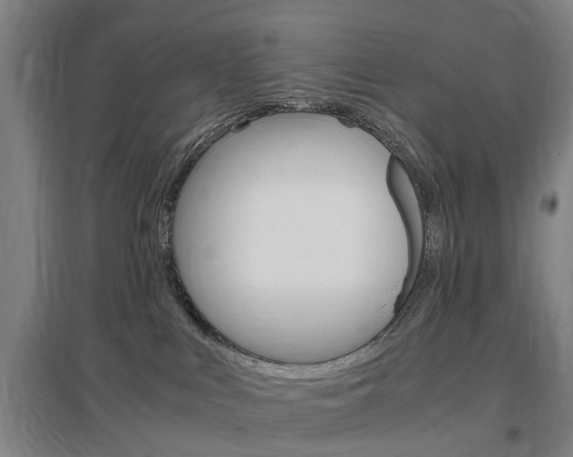 X0000097460043200802220817