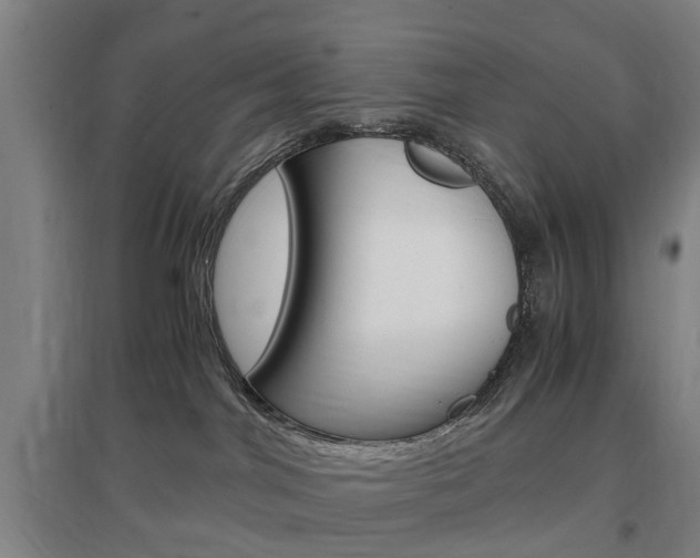X0000097460044200802220817