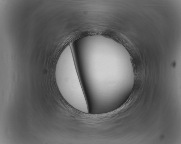X0000097460045200802220817