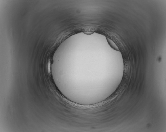 X0000097460046200802220817