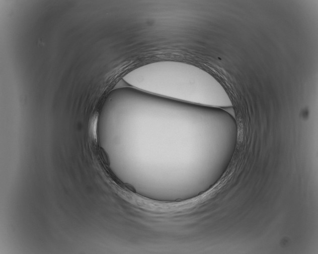 X0000097460047200802220817