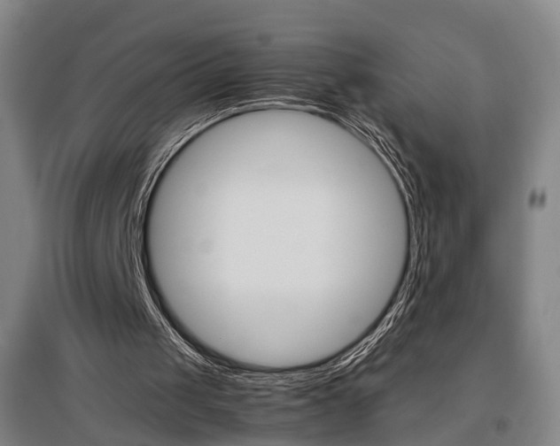 X0000097460049200802220816