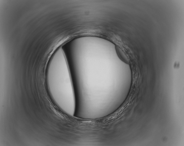 X0000097460050200802220816
