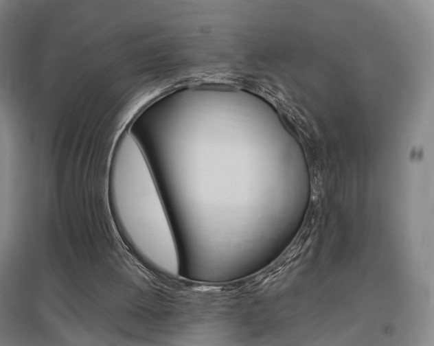 X0000097460052200802220816