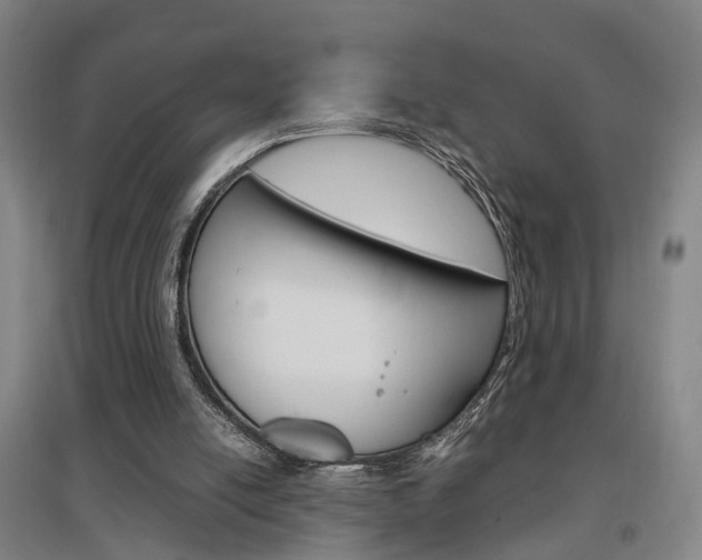 X0000097460054200802220816