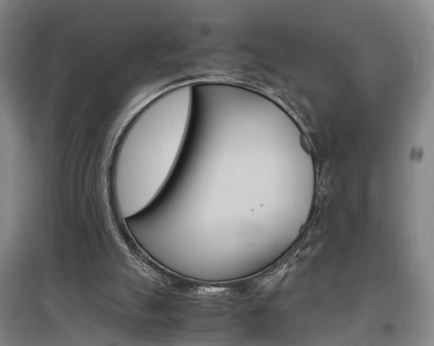 X0000097460055200802220816