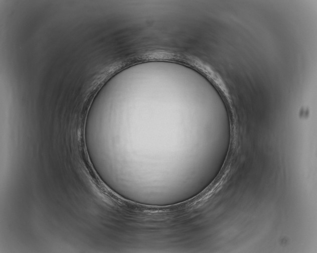 X0000097460057200802220816