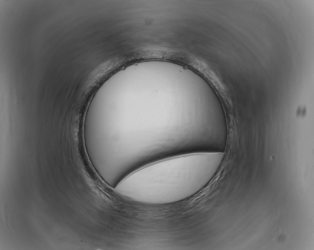 X0000097460058200802220816