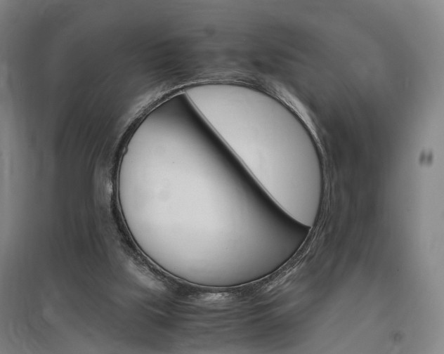 X0000097460059200802220816