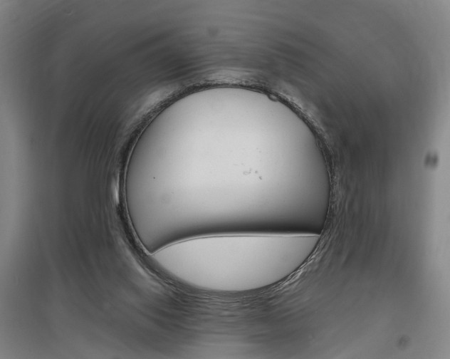 X0000097460062200802220816