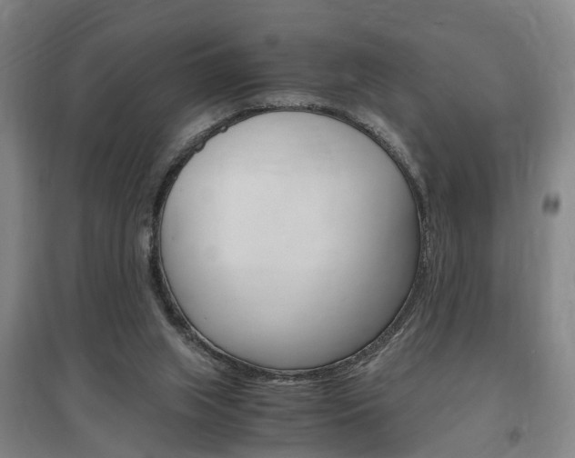 X0000097460063200802220816
