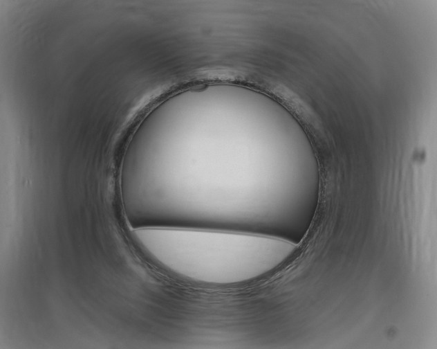 X0000097460064200802220816